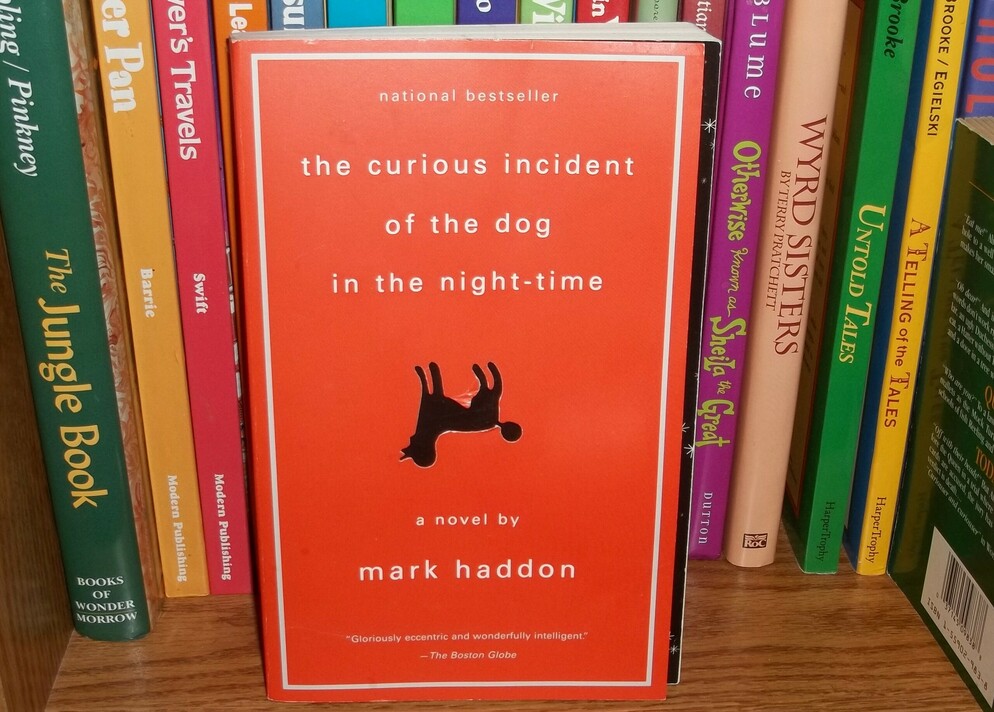 Picture of a book in front of other books